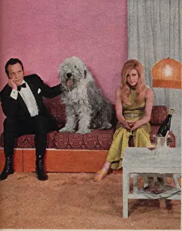 Householder: Couple and sheepdog sitting on sofa, Practical Householder