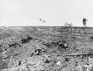 Courcelette: Courcelette 1916