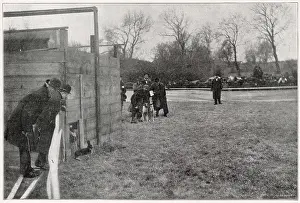 Greyhounds: Coursing in County Dublin