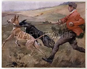 Coursing: COURSING - THE SLIPPER
