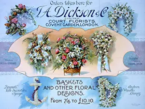 Florist: Court florists advert