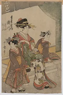 Segawa: The Courtesan Segawa of Matsuba-ya