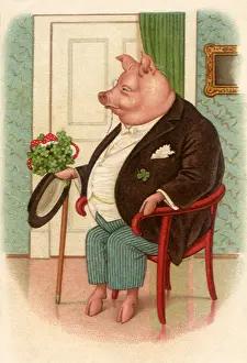 Clovers: Courting Pig