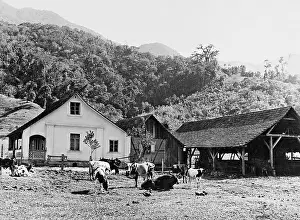 Stables: The courtyard of a German immigrant family, 1939