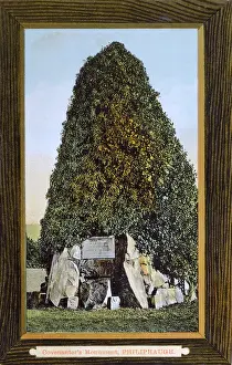 Covenanter: Covenanter's Monument, Philiphaugh