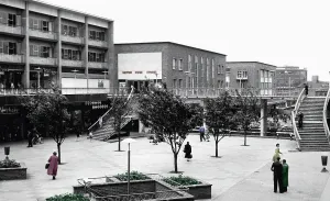 Precinct: Coventry, the Precinct c1965
