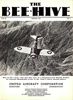 Hive: The front cover of The Bee Hive volume IX