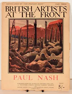 Stumps: Cover design, British Artists at the Front
