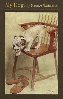 Pelleas: Cover design by Cecil Aldin, My Dog
