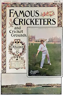 Cricketers: Cover design, Famous Cricketers and Cricket Grounds, XI
