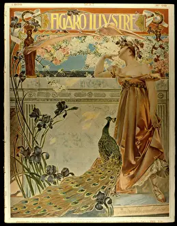 Peacocks: Cover design, Figaro Illustre