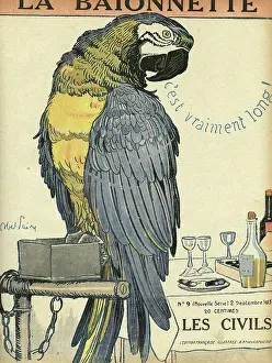 Macaw: Front cover, La Baionnette, WW1
