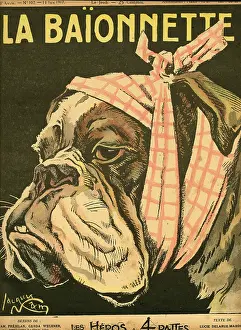 Bandaged: Front cover, La Baionnette, WW1
