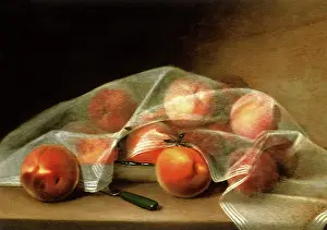 Peach: A Covered Painting, or Fruit Piece