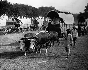 Caravans: Covered Wagons