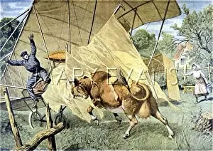 Compelled: COW AND AIRCRASH