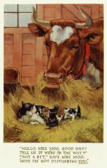 Hullo: Cow, cat & kittens