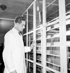 Lomoz: Cow feed with antibiotics