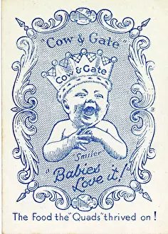 Quadruplets: Cow & Gate Snap - back of card