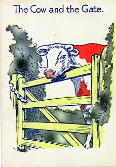 Dairy: Cow & Gate Snap - The Cow and the Gate