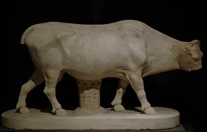 Hoof: Cow. Pentelic marble. Copy after a bronze statue by Myron (4