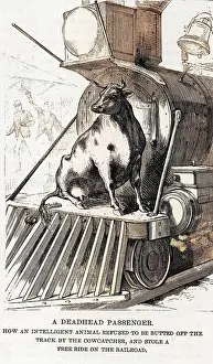 Catchers: Cow riding on a train