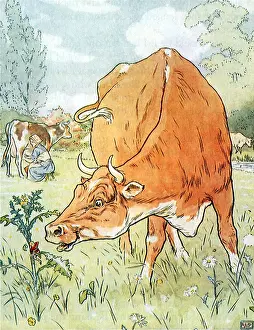 Weed: Cow Sees Tom Thumb