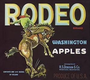 Bronc: Cowboy and Bronc Label