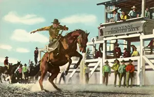 Bronco: Cowboy and Bronco