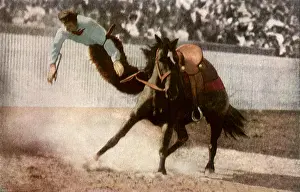 Rodeo: Cowboy Bucked Off