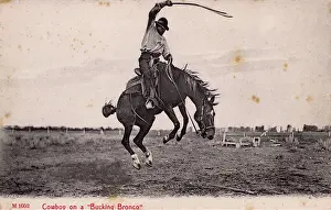 Horsemanship: Cowboy on a Bucking Bronco