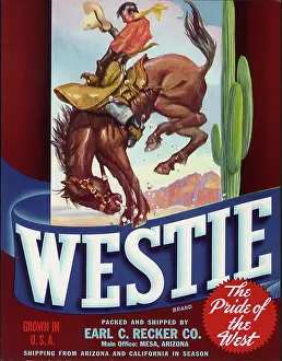 Bronco: Cowboy on Bucking Horse