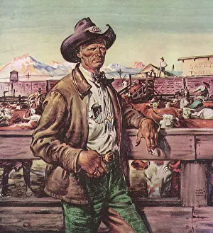 Ranchers: Cowboy and Fence