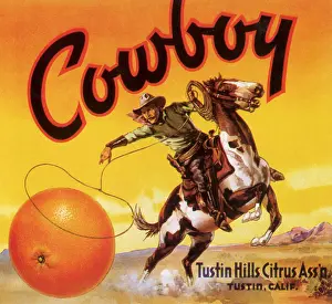 Roping: Cowboy Lassoing Orange