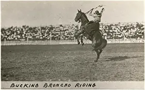 Bronco: Cowboy riding a bucking Broncho