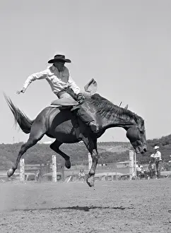 Pun001: Cowboy Riding A Horse On A Ranch