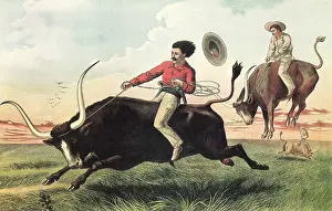 Longhorn: Cowboy Riding Steer