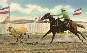 Southwestern: Cowboy Ropes Calf