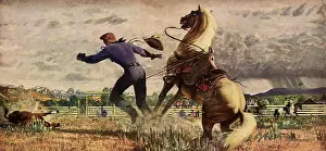 Cowgirls: Cowboy Ropes Calf