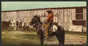 Lariat: Cowboy throwing lariat