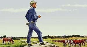 Ludekens: Cowboy Views Herd
