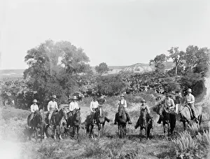 Cowboys - Horses - Cattle - Texas