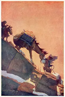 Rockies: Cowboys and Ponies