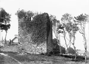 Stump: Cowd Castle, Ardglass