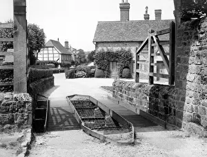Straying: COWDRAY PARK