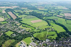 Parkland: Cowdray Park