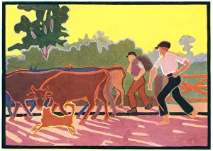 Cowherds: Cowherds