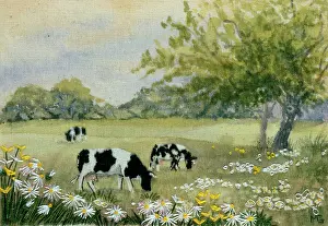 Calico: Cows and Daisies ? embroidery