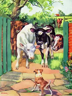 Barring: Cows and a dog