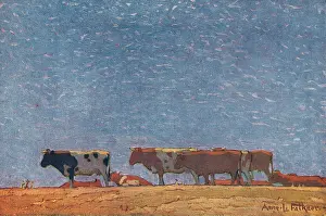 Falkner: Cows On The Hill